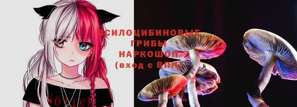 jwh Горняк