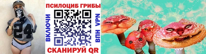 где купить наркоту  Мценск  Галлюциногенные грибы ЛСД 